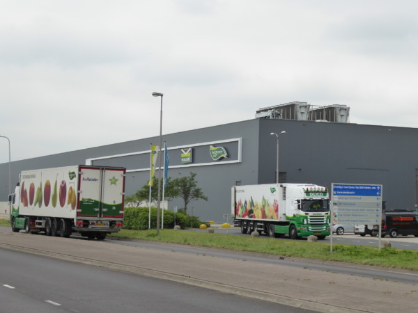 The Greenery BelOrta colaboración