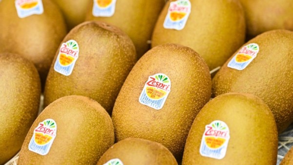 Zespri récord