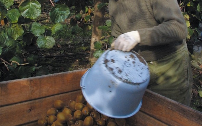 producción agrícola Francia