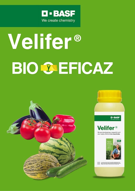 Velifer BASF