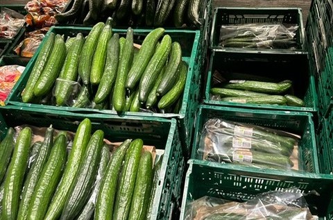 La menor oferta de pepino en Europa eleva los precios