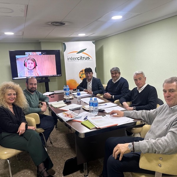 Intercitrus extensión de norma