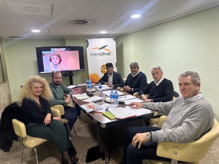 Intercitrus extensión de norma