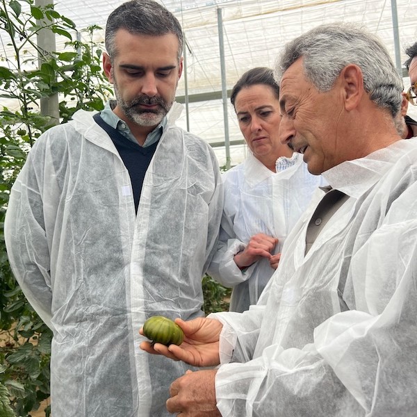 exportación tomate Almería