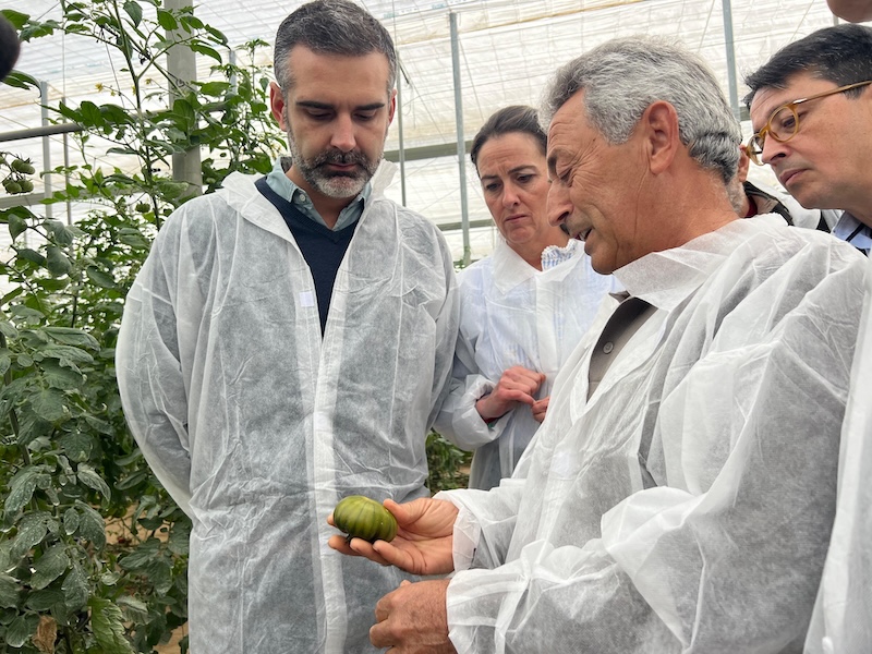 exportación tomate Almería