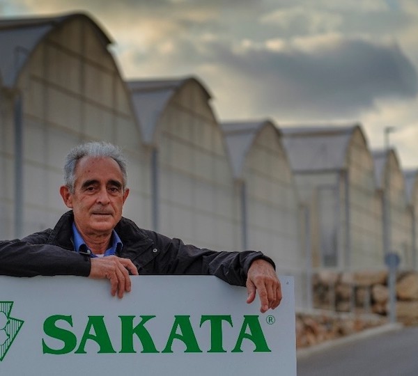Javier Bernabéu Sakata