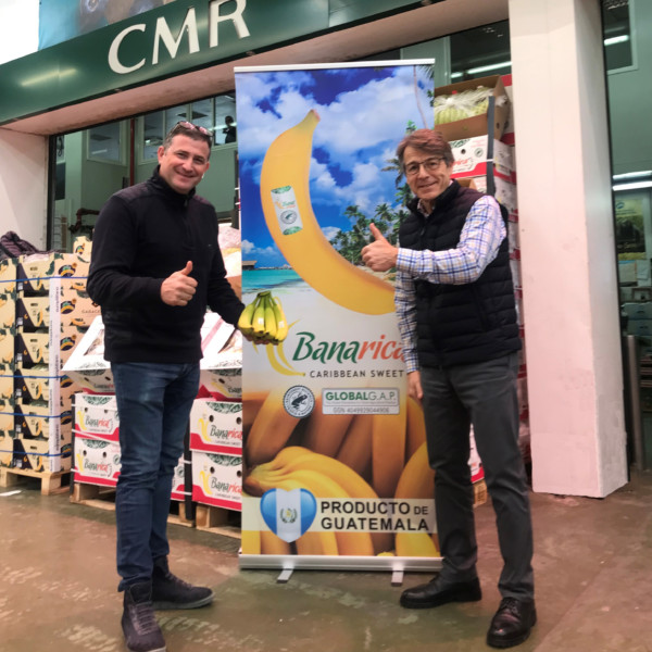 CMR banana