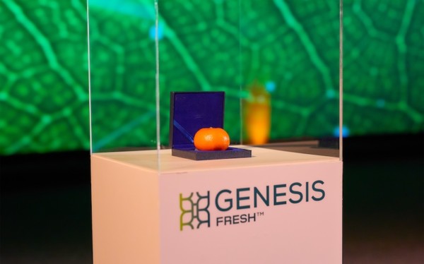 mandarinas premium Orri