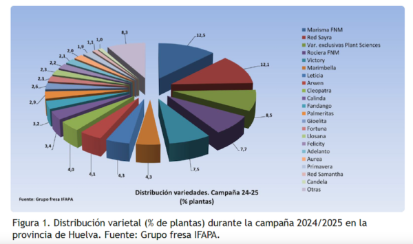 fresas más cultivadas Huelva