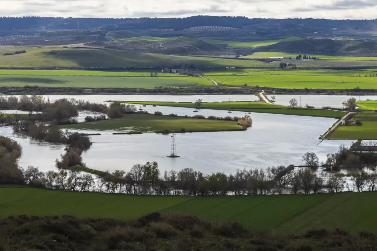 cultivos Vega del Tajo