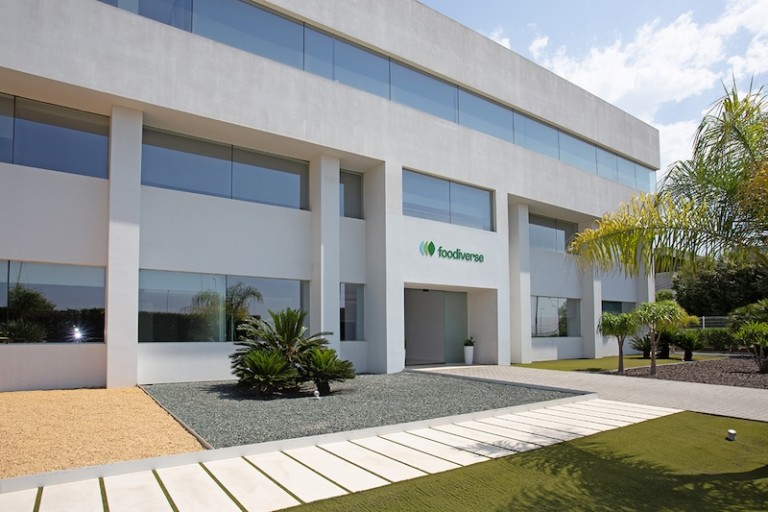 Foodiverse ensaladas