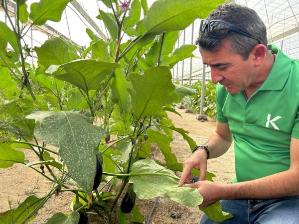 control biológico primavera