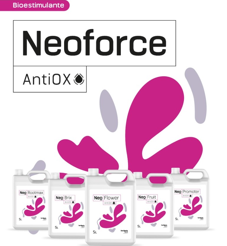 Fertiberia AntioOX