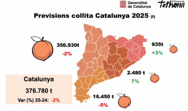 fruta de hueso Cataluña