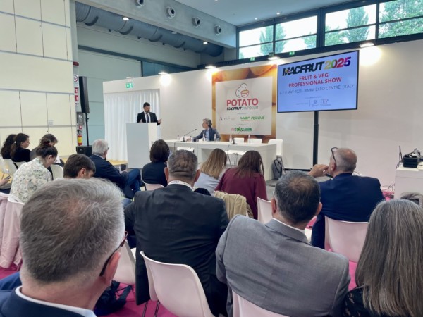 Patata Italia novedades