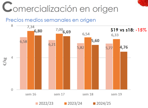 frambuesa precios