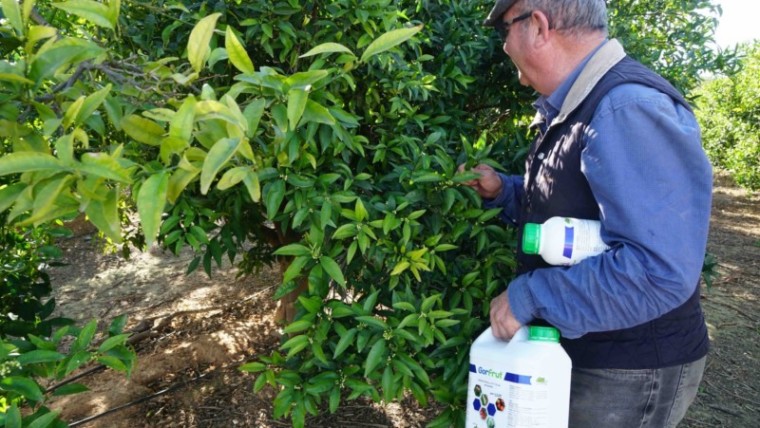 gestión envases agrícolas