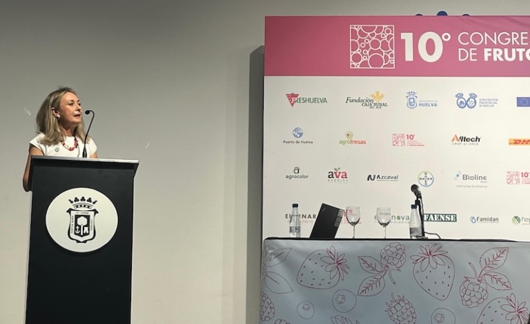 ResiYou tomate invernadero