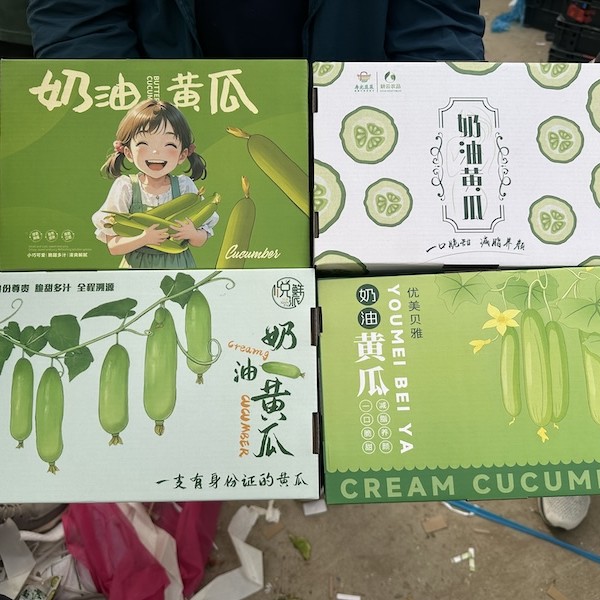 Yuksel China