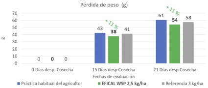 Daymsa pimiento