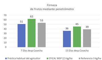 Daymsa pimiento