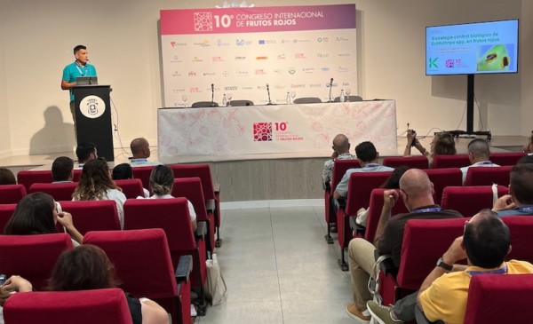 Koppert frutos rojos