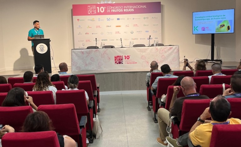 Koppert frutos rojos