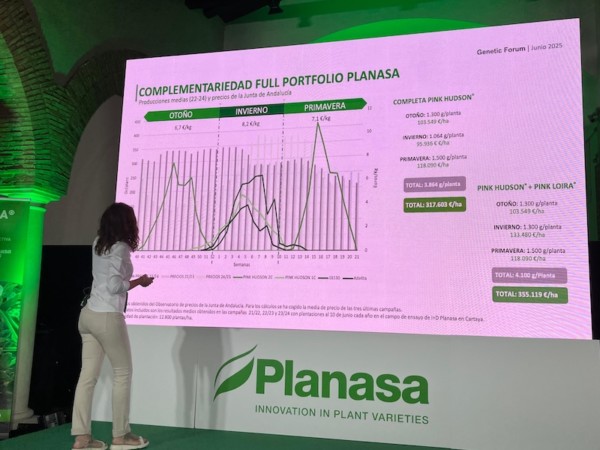 frambuesa Planasa