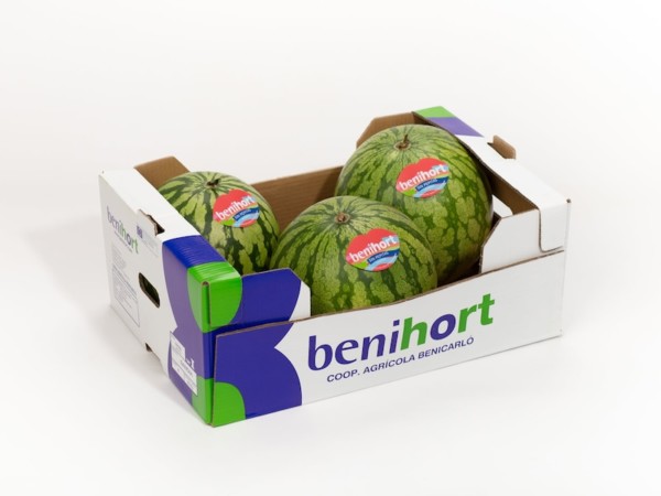 Benihort sandía