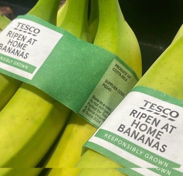 Tesco bananas