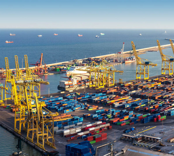 MSC Tercat