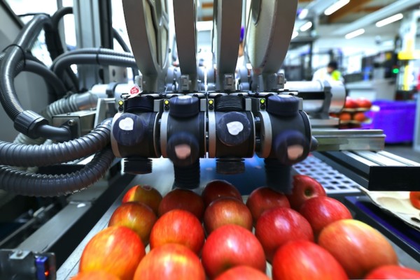 Sinclair etiquetas compostables