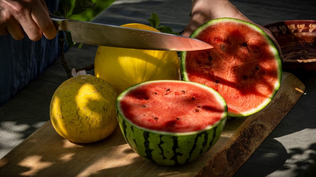 Aarstiderne melón Piel de Sapo