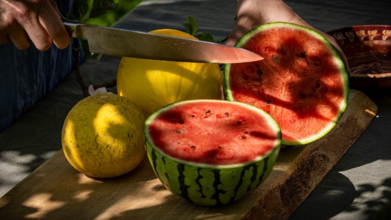 Aarstiderne melón Piel de Sapo