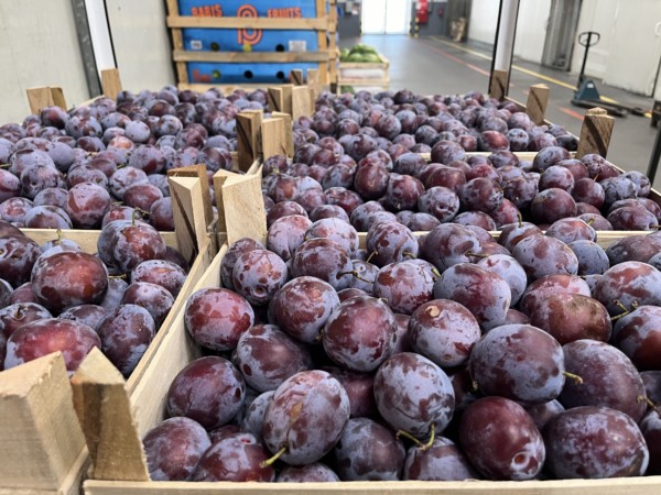 fruta fresca Rumanía