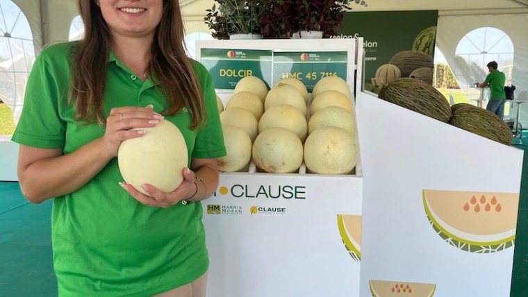 HM.Clause melón