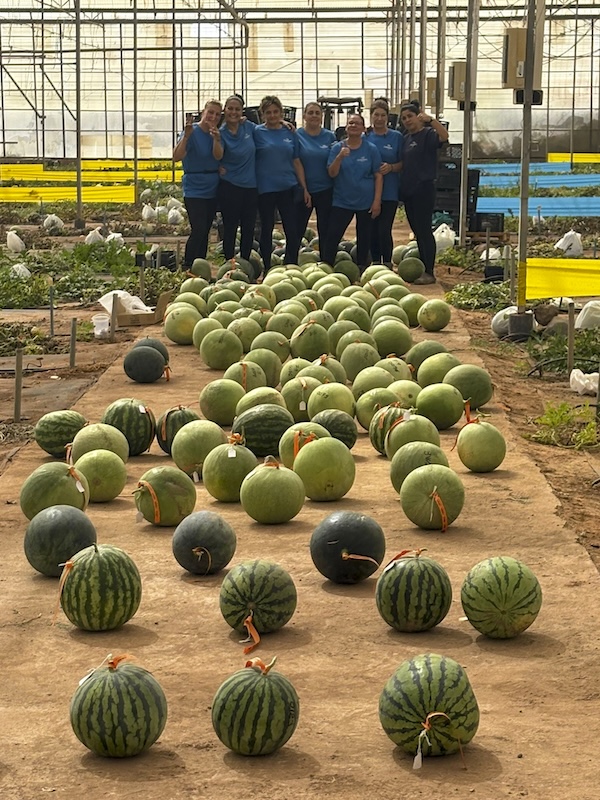 Cagpen melón y sandía