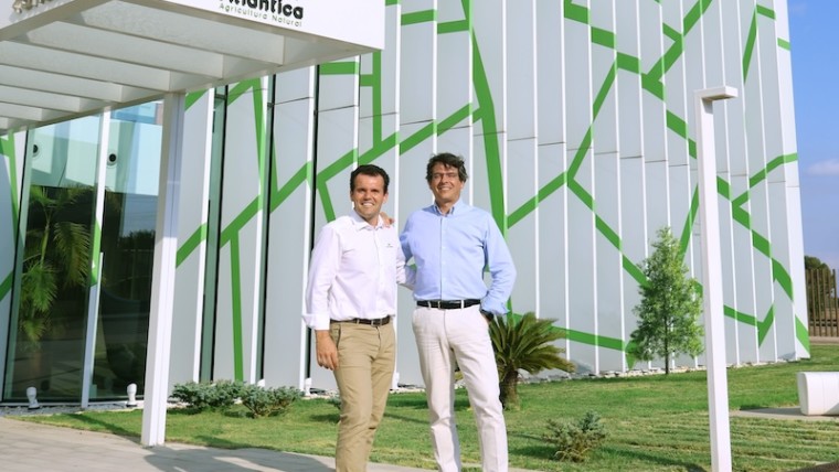 Grupo Atlántica