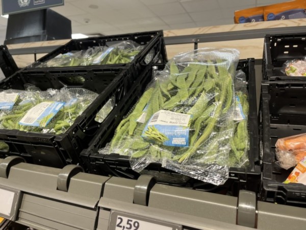 judias verdes Alemania