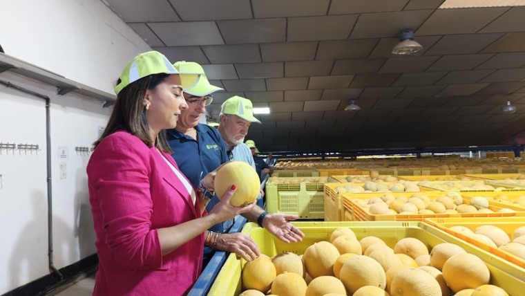 melón Murcia