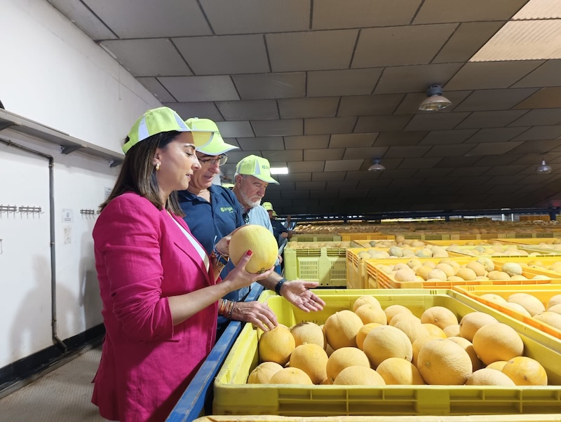 melón Murcia