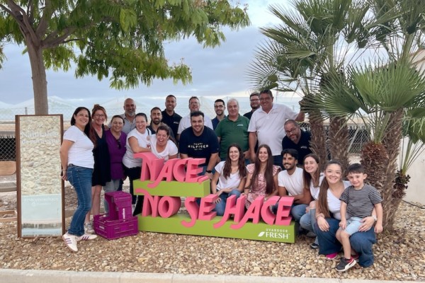 Uvasdoce uva de mesa