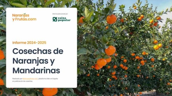 naranjasyfrutas cítricos