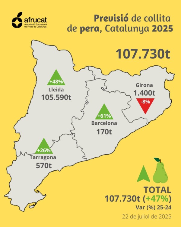 Cataluña fruta de pepita