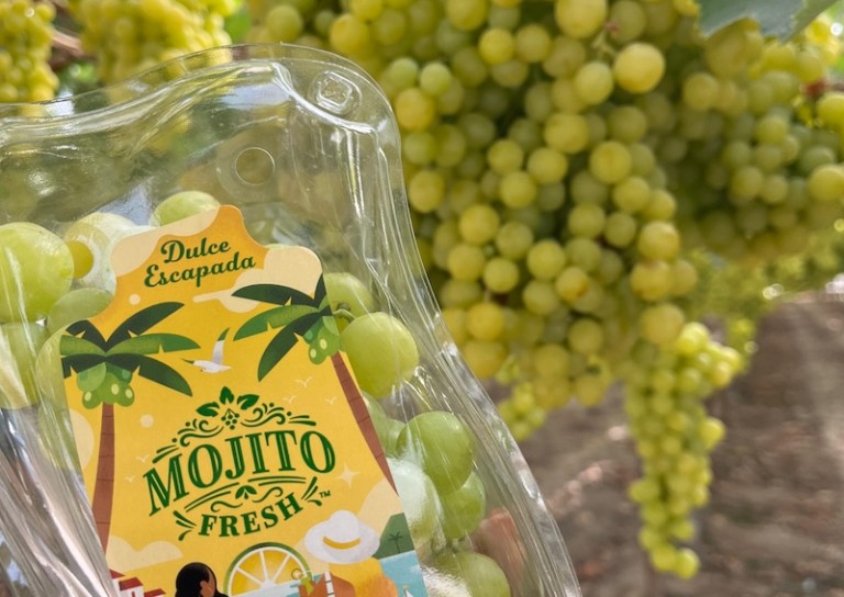 uvasdoce uva de mesa