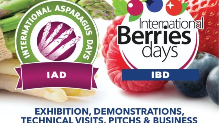 Asparagus Days International Berries Days