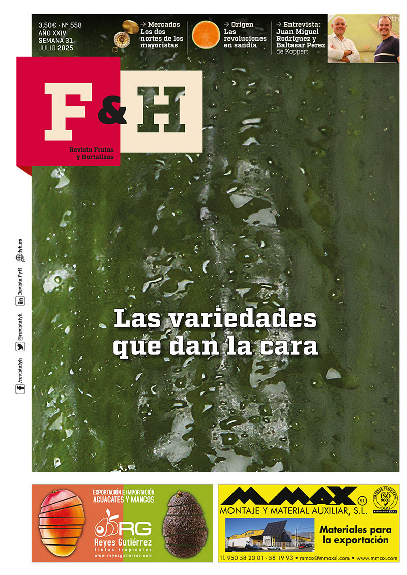 F&H 558