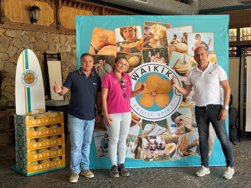 Semillas Fitó melón