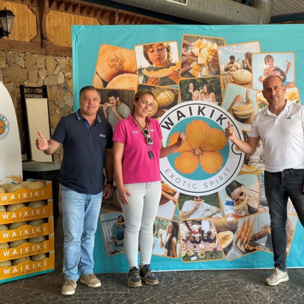 Semillas Fitó melón