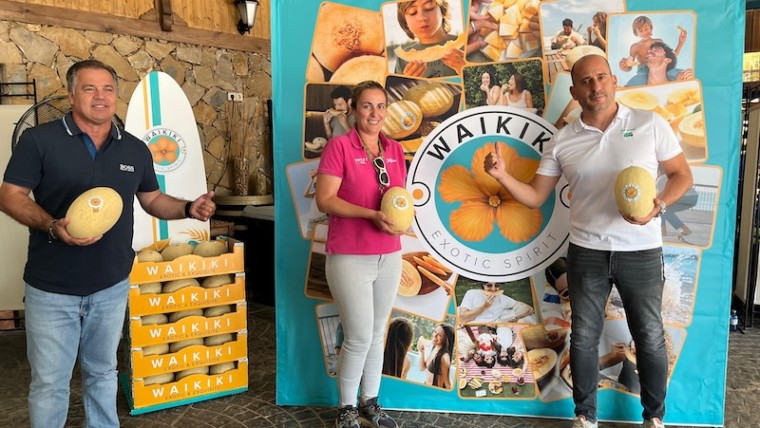 Semillas Fitó Waikiki